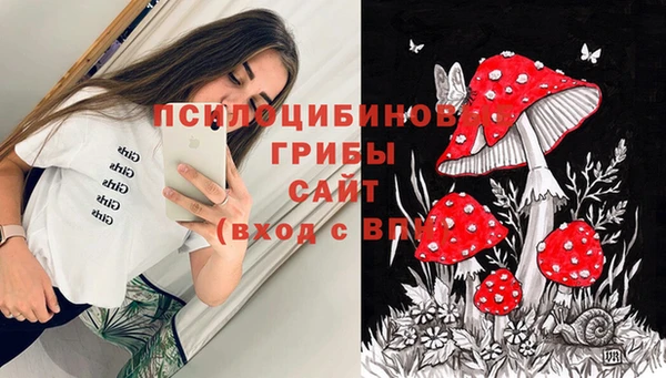 марки lsd Аркадак