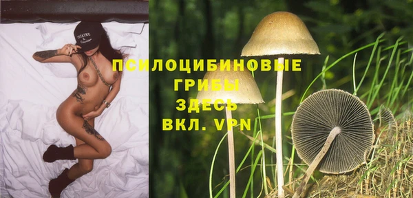 прущий лед Армянск