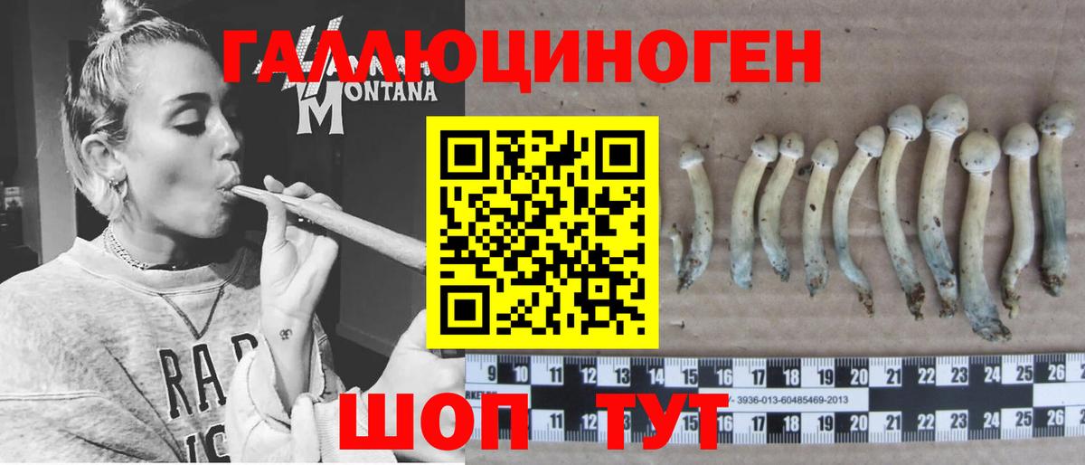 Междуреченск  дарнет шоп  Галлюциногенные грибы мицелий  Вход с VPN  Галлюциногенные грибы ЛСД 
